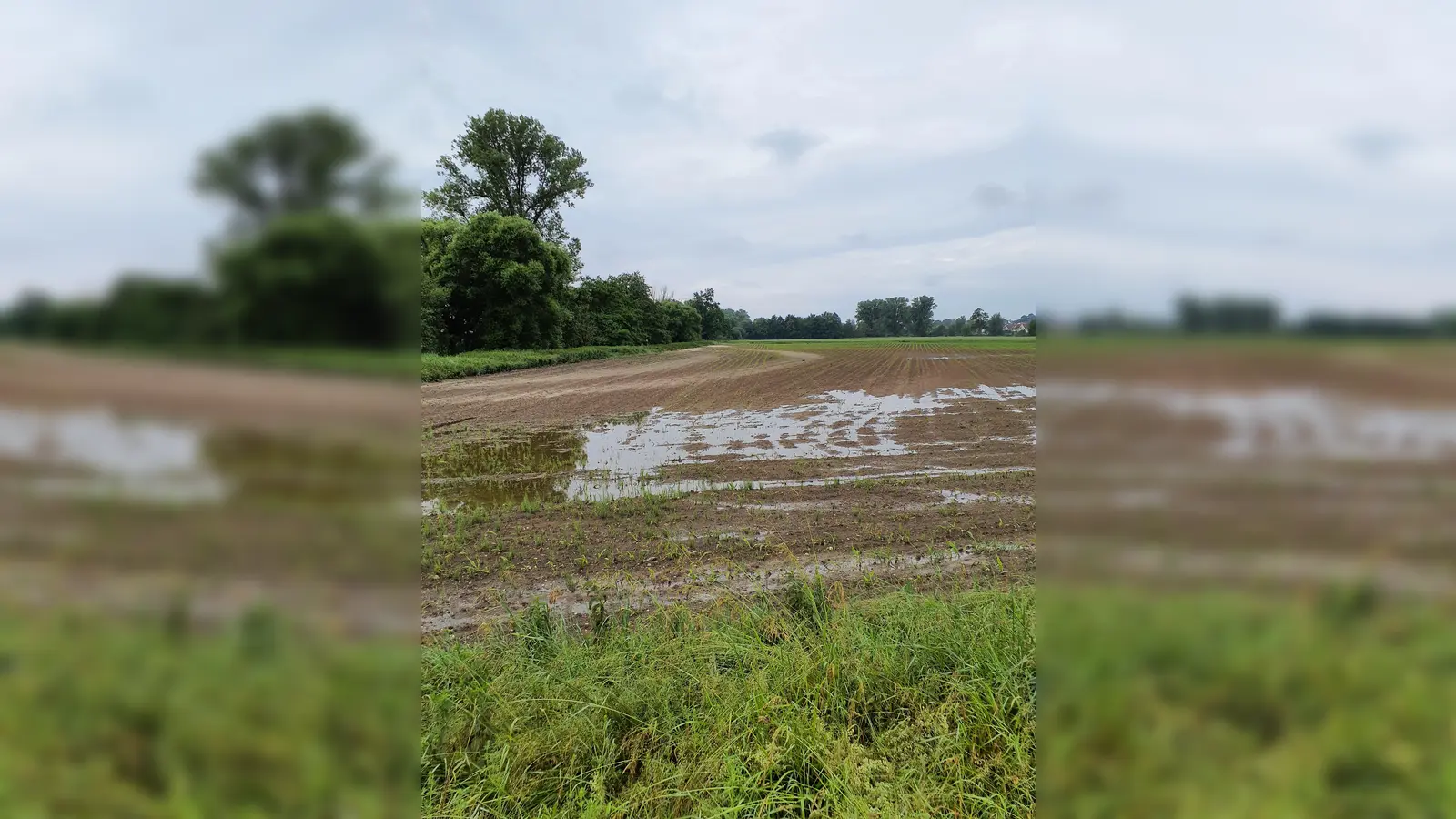 Landwirte können ab sofort Entschädigungen aus der Soforthilfe Hochwasser 2024 beantragen. (Foto: Sabine Weindl/AELF FFB)