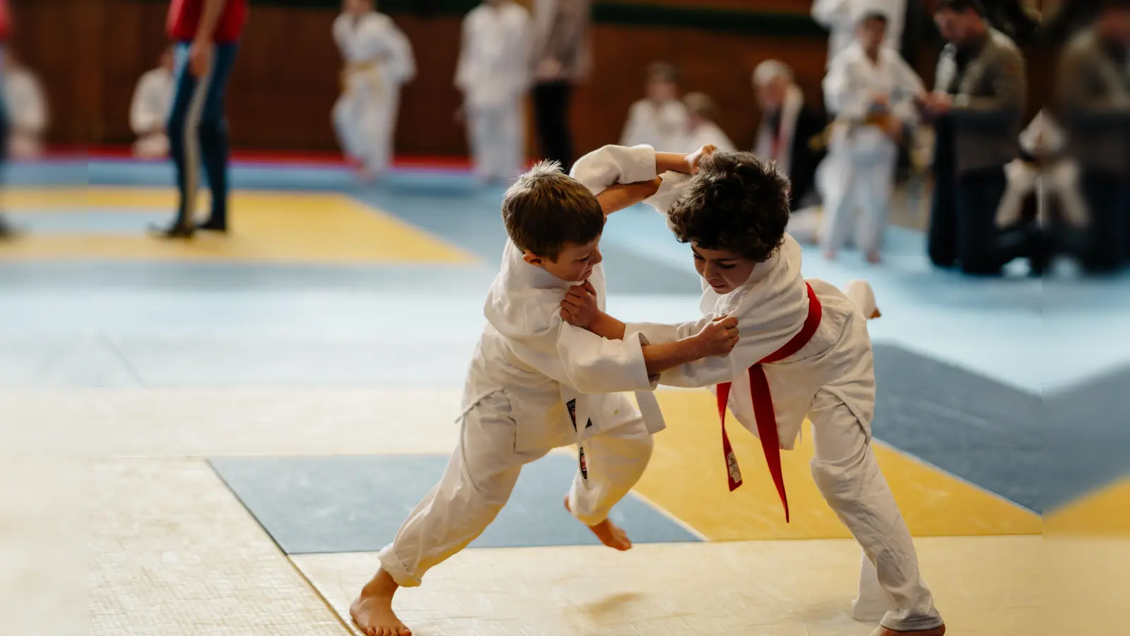 Die Jubiläumsturniere im Judo-Bodenkampf und Sumo waren ein voller Erfolg. (Foto: Tanja Fischer)