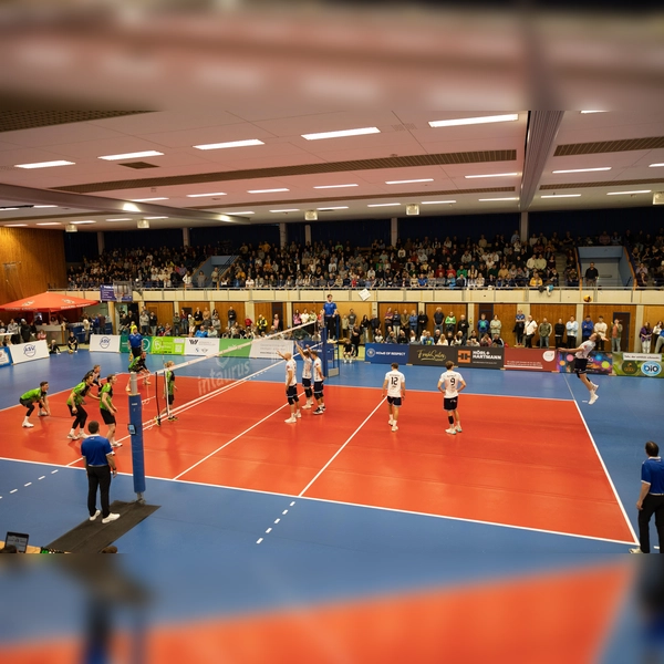 Die ASV Volleys freuen sich auf das Doppelspielwochenende in der Georg-Scherer-Halle. (Foto: ASV)