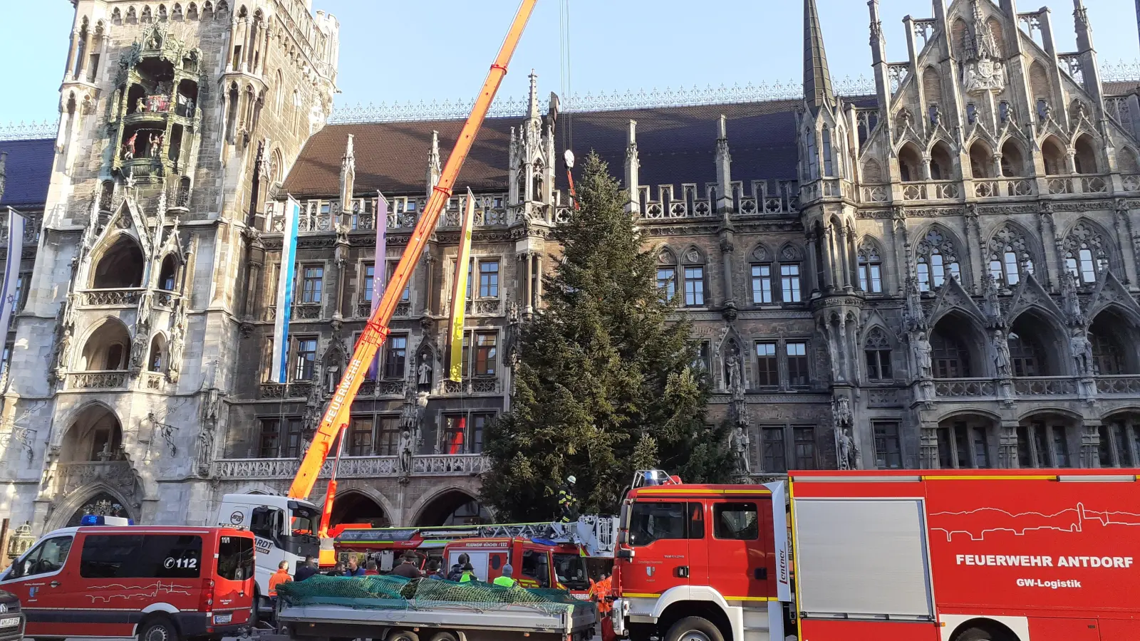 Kurz nach acht Uhr stand die Tanne auf dem Marienplatz. Die Berufsfeuerwehr hatte sie in zweistündiger Arbeit zusammen mit ihren Kollegen aus Antdorf aufgestellt.  (Foto: mha)