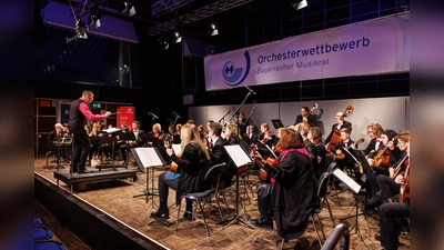 Das Vivaldi Orchester Karlsfeld hat beim Bayerischen Orchesterwettbewerb den ersten Platz in der Kategorie Zupforchester belegt. (Foto: Matthias Balk)