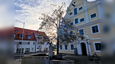 Das herbstliche Petershausen lädt ein zum Marktsonntag. (Foto: dek)