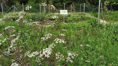 „Auch in einem kleinen Garten kann man etwas für die Natur tun“: So lautet das Motto für den neuen Kreislehrgarten bei Rettenbach (Gemeinde Vierkirchen). (Foto: Landratsamt Dachau)